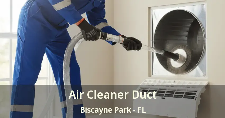 Air Cleaner Duct Biscayne Park - FL