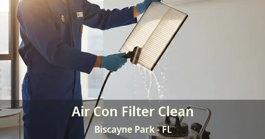 Air Con Filter Clean Biscayne Park - FL