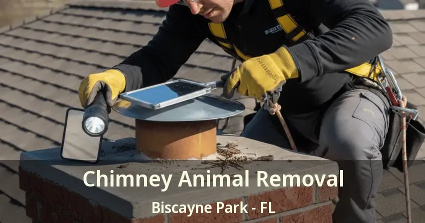 Chimney Animal Removal Biscayne Park - FL