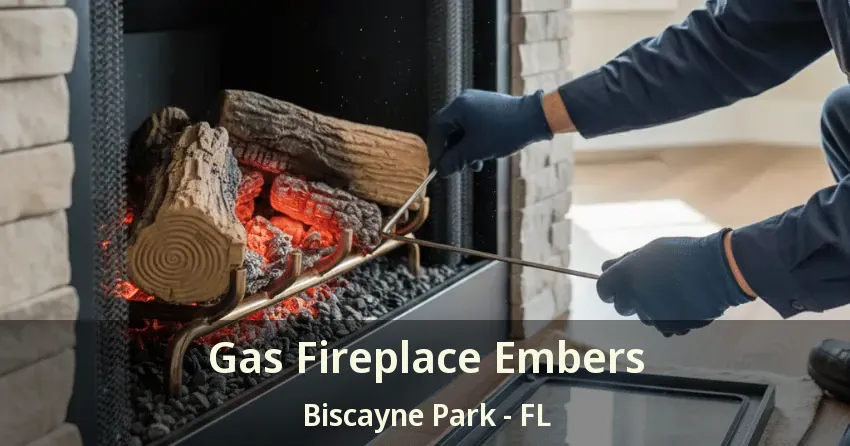 Gas Fireplace Embers Biscayne Park - FL