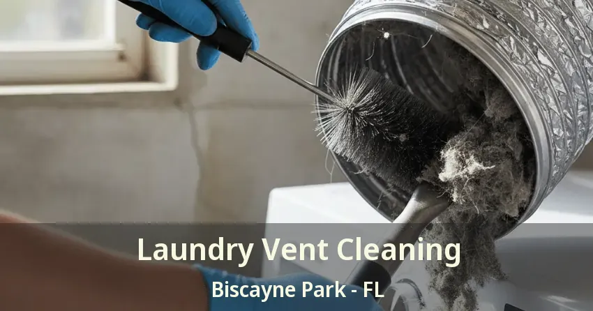 Laundry Vent Cleaning Biscayne Park - FL