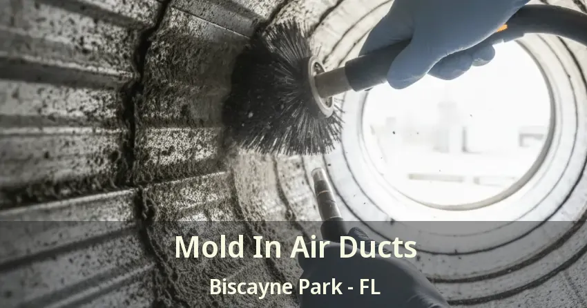Mold In Air Ducts Biscayne Park - FL
