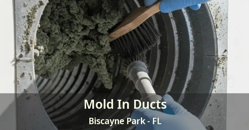 Mold In Ducts Biscayne Park - FL