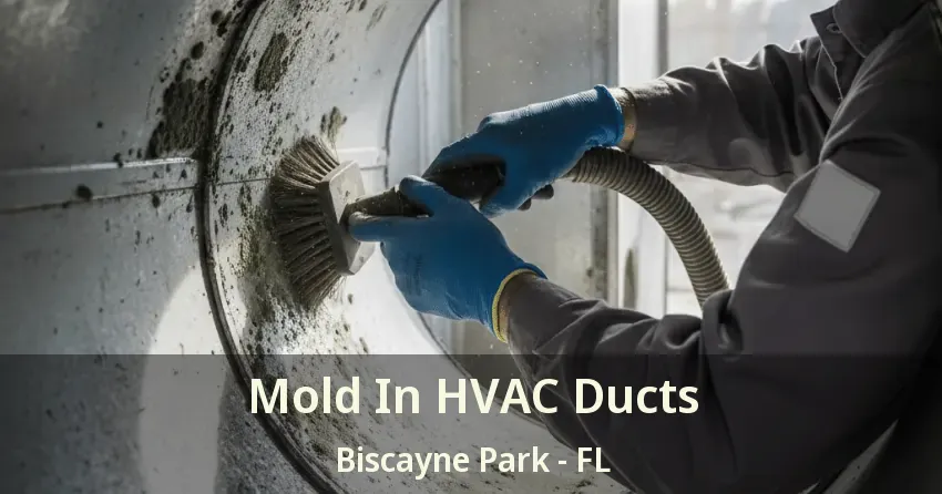 Mold In HVAC Ducts Biscayne Park - FL